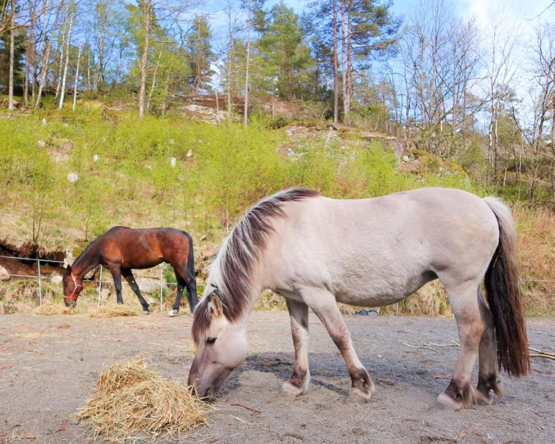 Fosseland Gjestegard Feda ภายนอก รูปภาพ